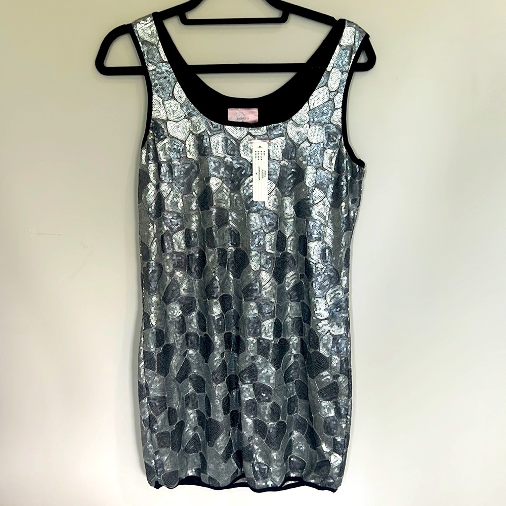 Romeo and Juliet couture silver embellished dress